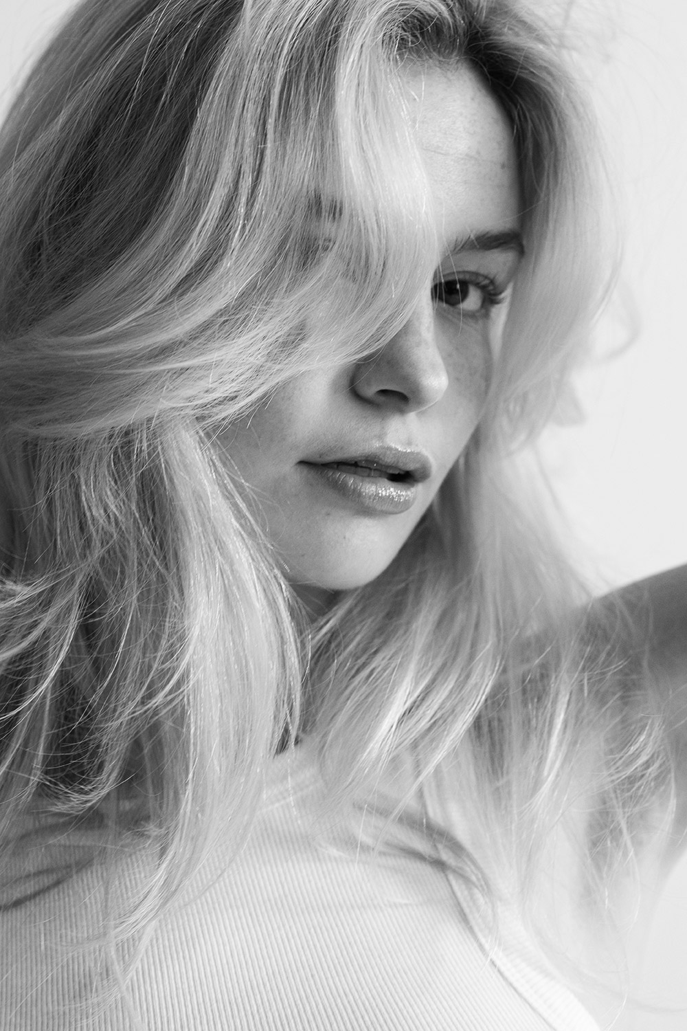 editorial daisy